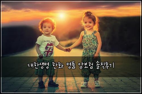 대한생명 한화 명품 암보험 솔직후기