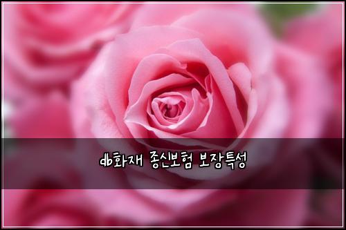 db화재 종신보험 보장특성 