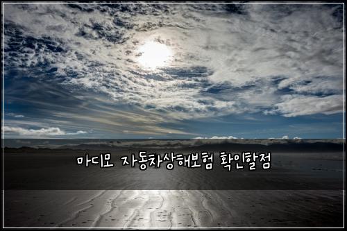 마디모 자동차상해보험 확인할점 