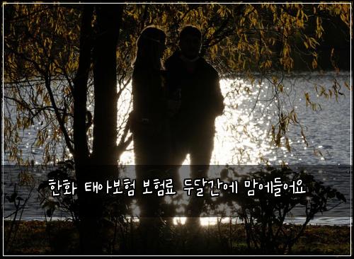 한화 태아보험 보험료 두달간에 맘에들어요