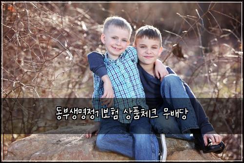 동부생명정기보험 상품체크  무배당