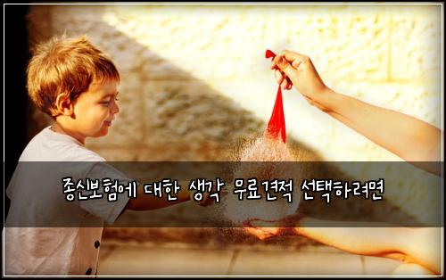 ์ข
์ ๋ณดํ์ ๋ํ ์๊ฐ ๋ฌด๋ฃ๊ฒฌ์ ์ ํํ๋ ค๋ฉด