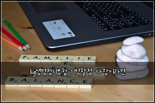 lig생명정기보험 기억할점  가장이라면