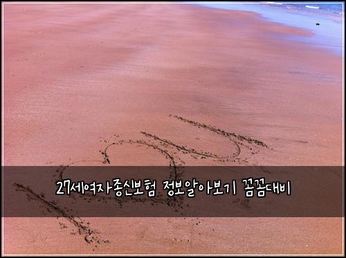 27์ธ์ฌ์์ข
์ ๋ณดํ ์ ๋ณด์์๋ณด๊ธฐ ๊ผผ๊ผผ๋๋น