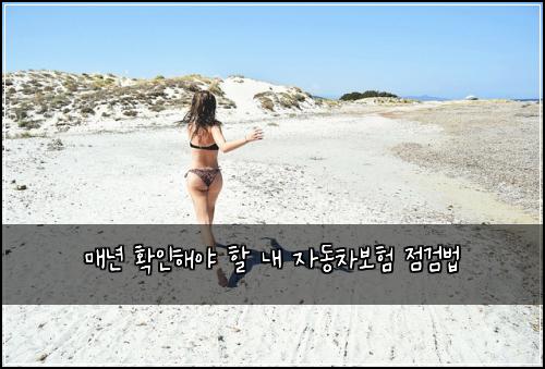 매년 확인해야 할 내 자동차보험 점검법