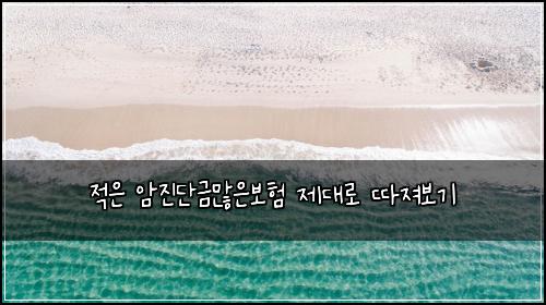 적은 암진단금많은보험 제대로 따져보기