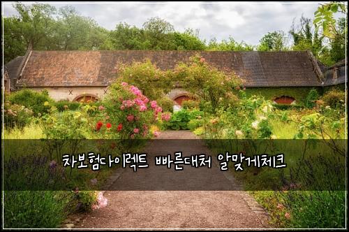 ์ฐจ๋ณดํ๋ค์ด๋ ํธ ๋น ๋ฅธ๋์ฒ ์๋ง๊ฒ์ฒดํฌ