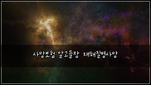 사망보험 알고들장  재해질병사망