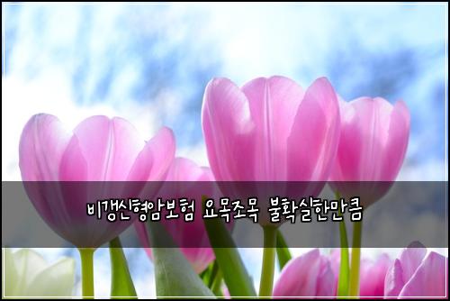 ๋น๊ฐฑ์ ํ์๋ณดํ ์๋ชฉ์กฐ๋ชฉ ๋ถํ์คํ๋งํผ