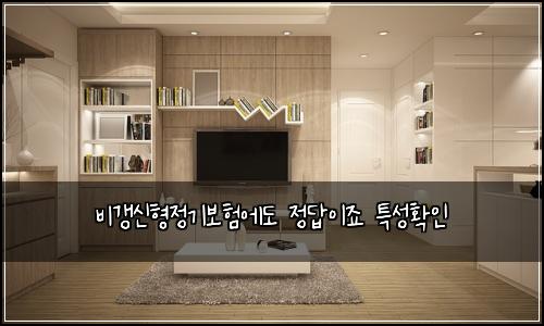 비갱신형정기보험에도 정답이죠 특성확인
