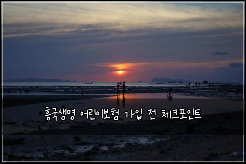 흥국생명 어린이보험 가입 전 체크포인트
