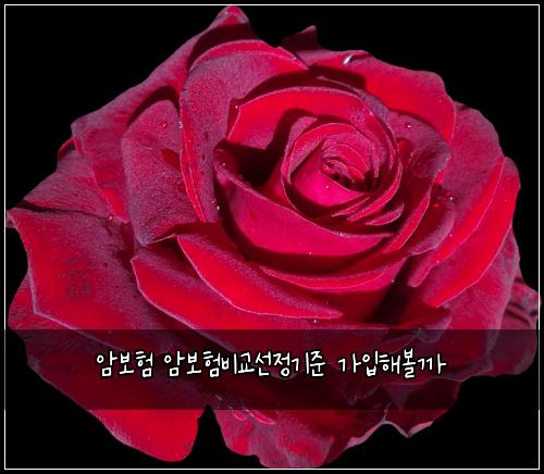 ์๋ณดํ ์๋ณดํ๋น๊ต์ ์ ๊ธฐ์ค ๊ฐ์
ํด๋ณผ๊น