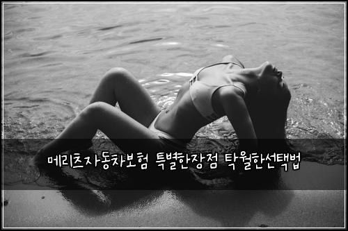 λ©λ¦¬μΈ μλ차보ν νΉλ³νμ₯μ νμνμ νλ²