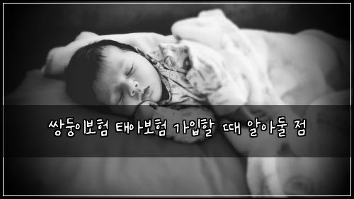 쌍둥이보험 태아보험 가입할 때 알아둘 점
