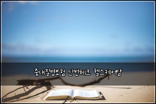 ์ค๋์ง๋ณ๋ณดํ ๋จ๋ฒ์ฒดํฌ ํฌ์ค์ผ์ด์