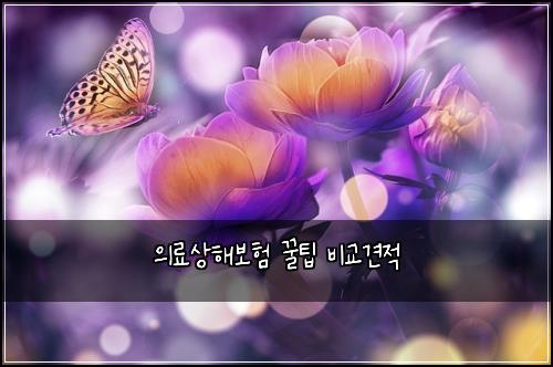 ์๋ฃ์ํด๋ณดํ ๊ฟํ ๋น๊ต๊ฒฌ์ 