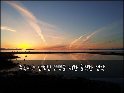 주목하는 암보험 선택을 위한 솔직한 생각