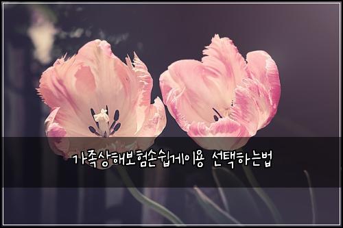 ๊ฐ์กฑ์ํด๋ณดํ์์ฝ๊ฒ์ด์ฉ ์ ํํ๋๋ฒ