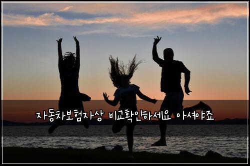 자동차보험자상 비교확인하세요 아셔야죠