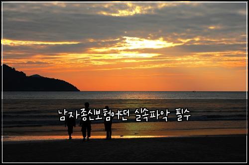 ๋จ์์ข
์ ๋ณดํ์ด๋ค ์ค์ํ์
ํ์
