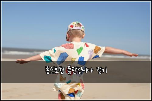종신보험 플랜입니다  정기