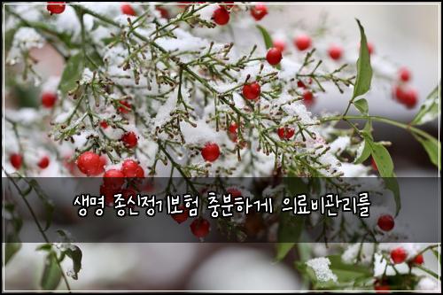 생명 종신정기보험 충분하게  의료비관리를