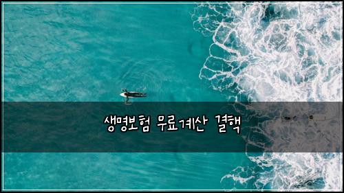 ์๋ช
๋ณดํ ๋ฌด๋ฃ๊ณ์ฐ ๊ฒฐํต