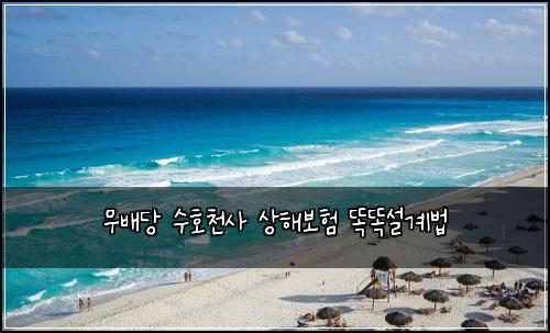 ๋ฌด๋ฐฐ๋น ์ํธ์ฒ์ฌ ์ํด๋ณดํ ๋๋์ค๊ณ๋ฒ