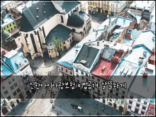 신한아이사랑보험 비법공개  알뜰하게