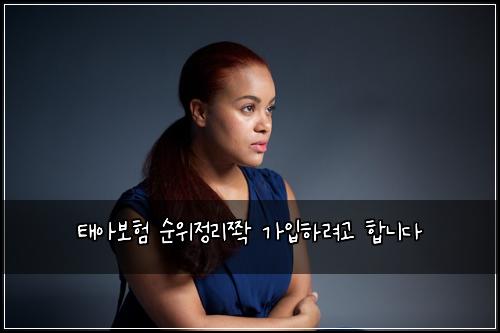 태아보험 순위정리쫙  가입하려고 합니다