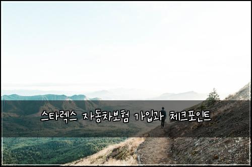 스타렉스 자동차보험 가입과 체크포인트