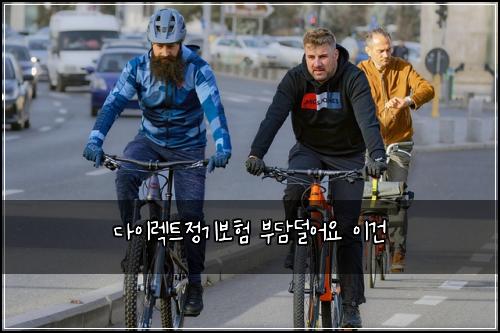 λ€μ΄λ νΈμ 기보ν λΆλ΄λμ΄μ μ΄κ±΄