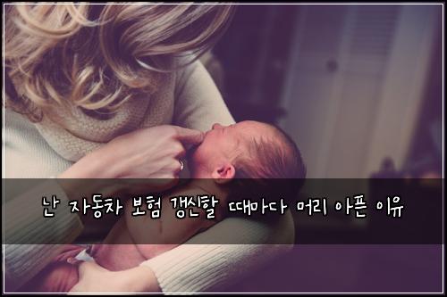난 자동차 보험 갱신할 때마다 머리 아픈 이유