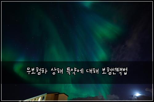 무보험차 상해 특약에 대해 보험선택법
