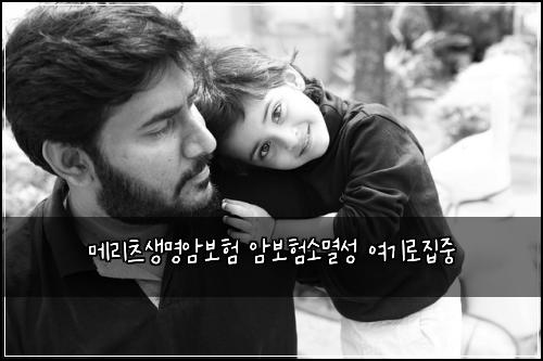 λ©λ¦¬μΈ μλͺ
μ보ν μ보νμλ©Έμ± μ¬κΈ°λ‘μ§μ€