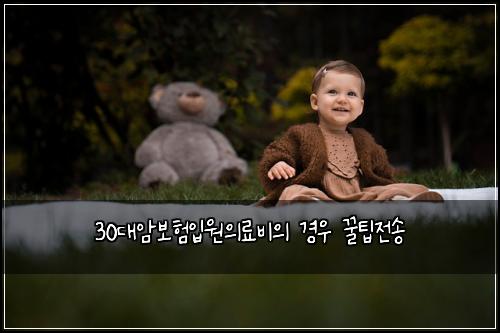 30대암보험입원의료비의 경우 꿀팁전송