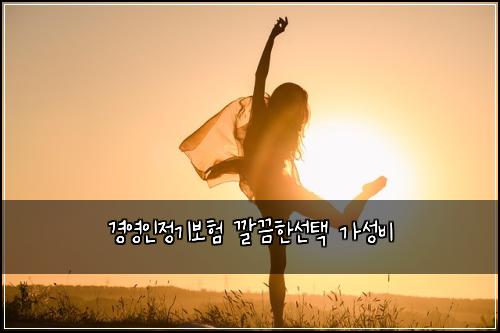 경영인정기보험 깔끔한선택  가성비