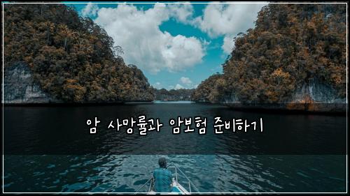 암 사망률과 암보험 준비하기