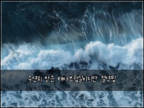 우연히 받은 태아보험실비지만 절약팁