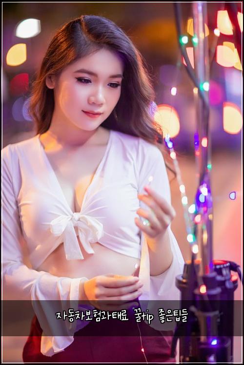 자동차보험과태료 꿀tip 좋은팁들