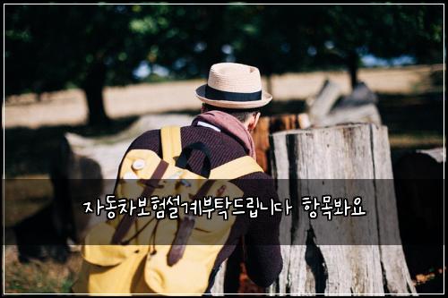 자동차보험설계부탁드립니다 항목봐요