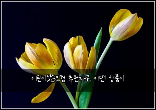 어린이실손보험 추천자료  어떤 상품이