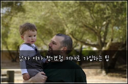 남자 여자 정기보험 제대로 가입하는 팁