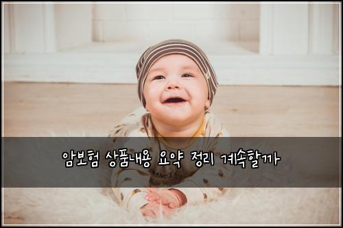 ์๋ณดํ ์ํ๋ด์ฉ ์์ฝ ์ ๋ฆฌ ๊ณ์ํ ๊น