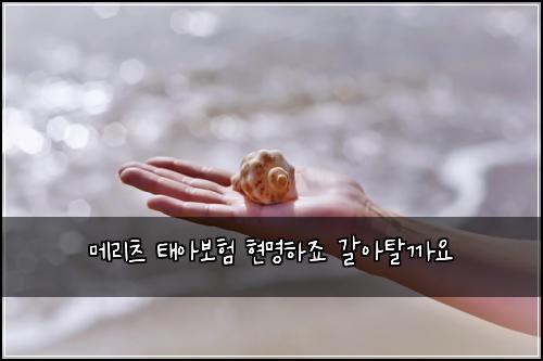 메리츠 태아보험 현명하죠  갈아탈까요