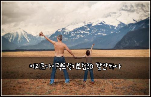 메리츠다이렉트정기보험30 할만하다