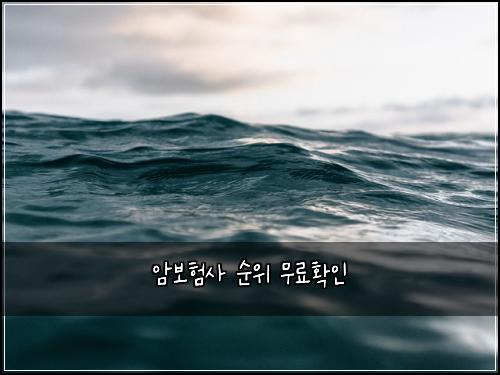 ์๋ณดํ์ฌ ์์ ๋ฌด๋ฃํ์ธ