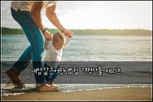 ๋ด๋ง๊ฐ์์ด๋ฆฐ์ด๋ณดํ ๊ฒฌ์ ์ฐ์ถ ๋ฉ๋ฆฌ์ธ