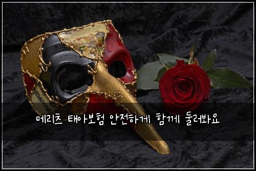 메리츠 태아보험 안전하게  함께 둘러봐요