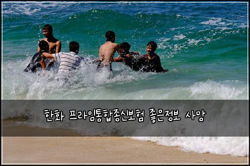 ํํ ํ๋ผ์ํตํฉ์ข
์ ๋ณดํ ์ข์์ ๋ณด ์ฌ๋ง